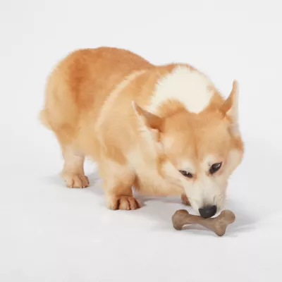 Product Joyhound Boss Bones Femur Chew Dog Toy