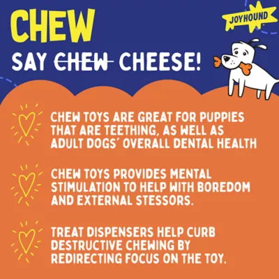 Product Joyhound Boss Bones Femur Chew Dog Toy
