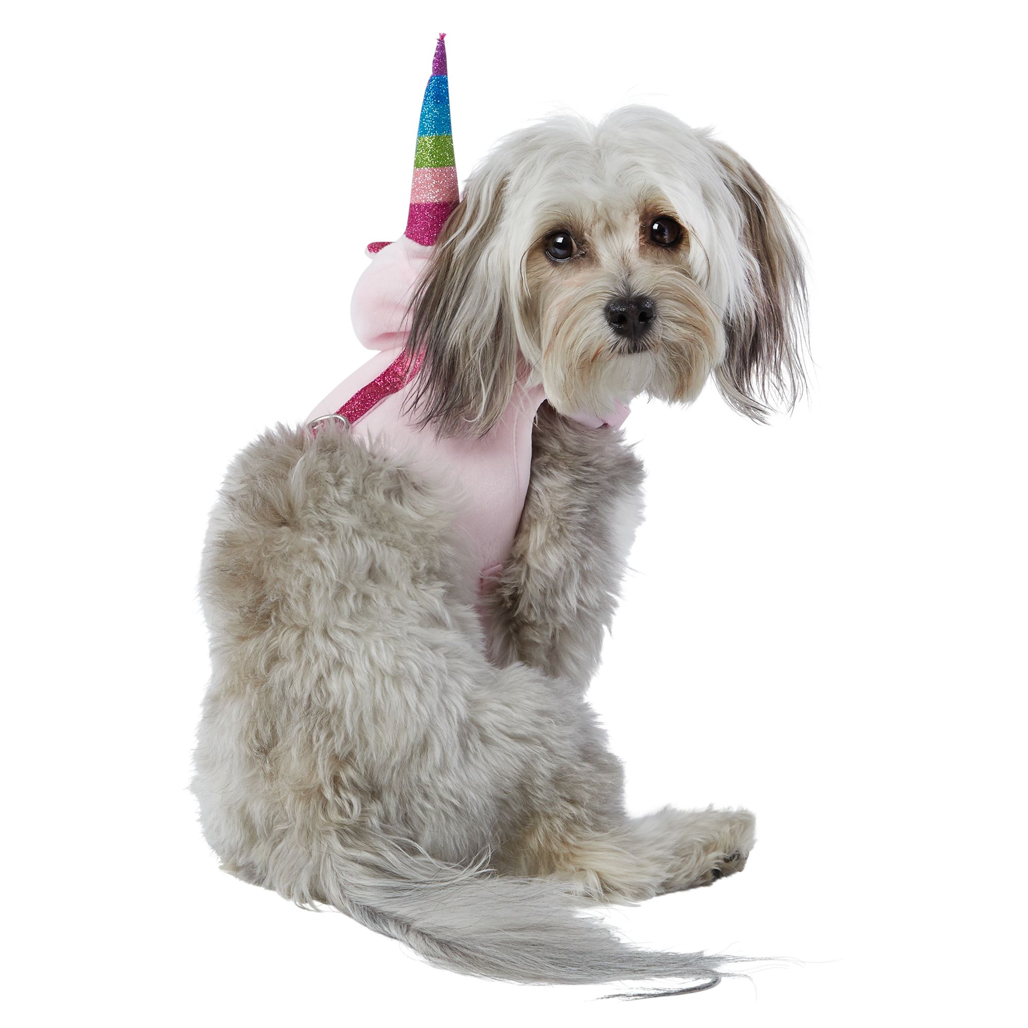 dog life vest petsmart