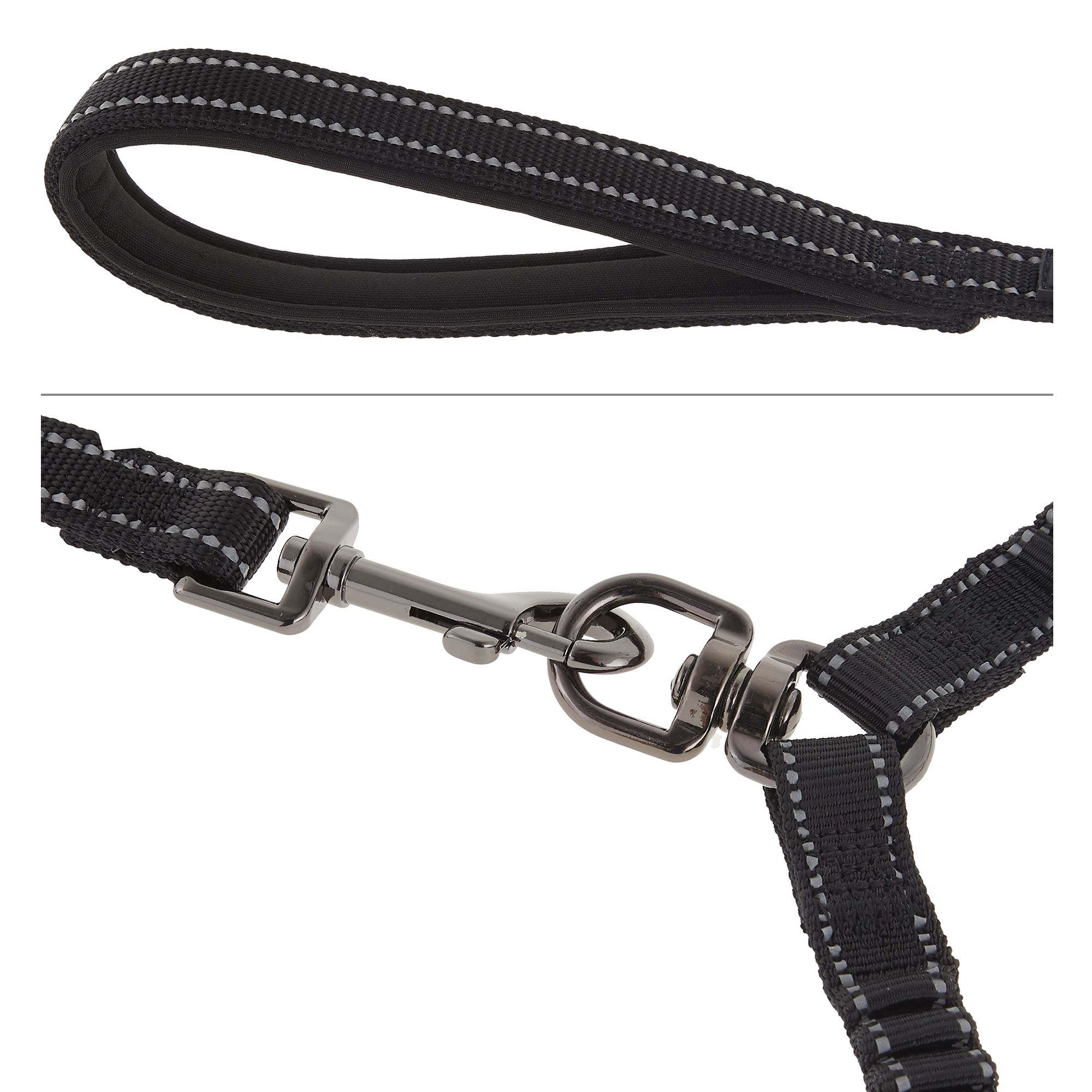 double dog leash petsmart