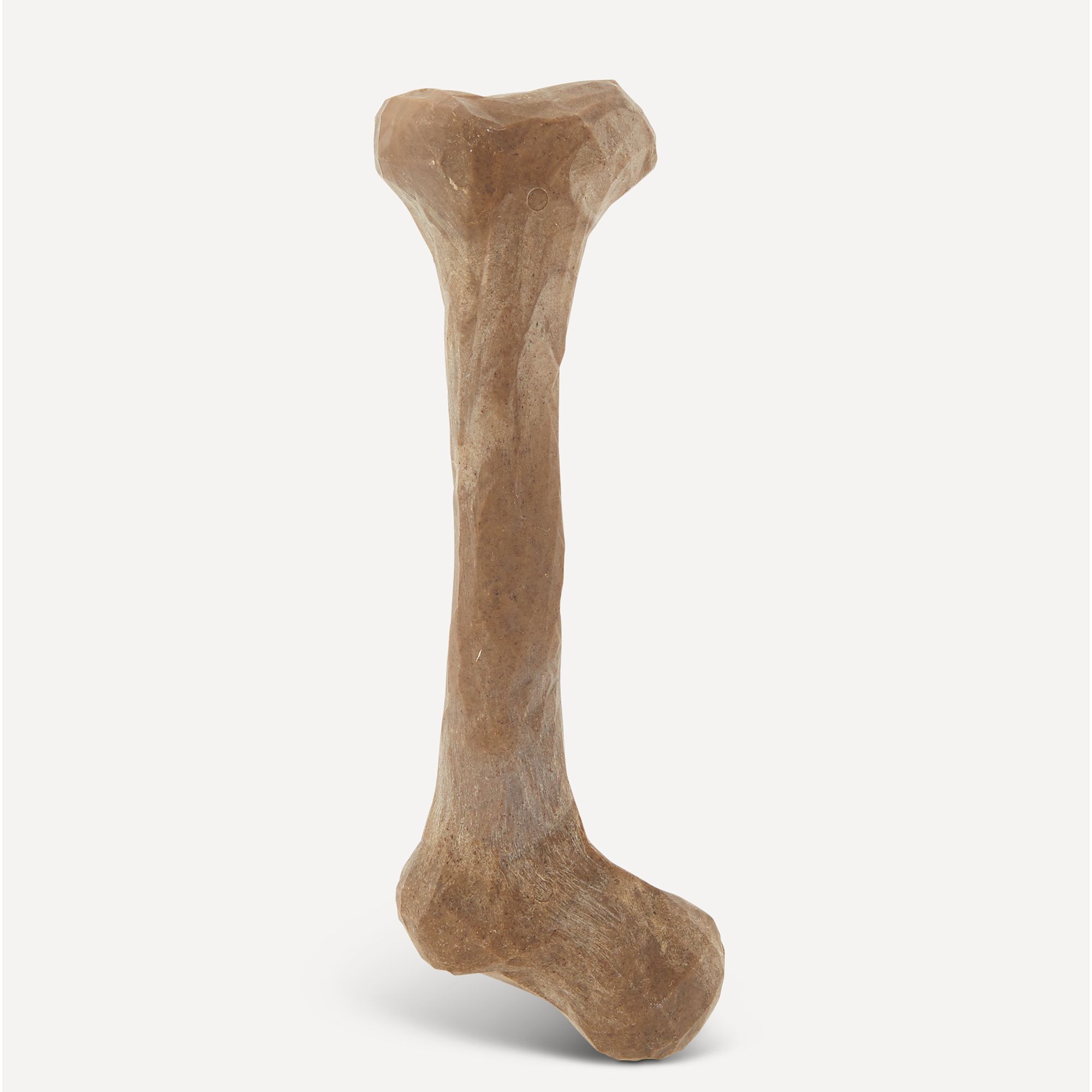 best bones for dogs to chew on