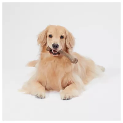 Product Joyhound® Boss Bones Femur Chew Dog Toy