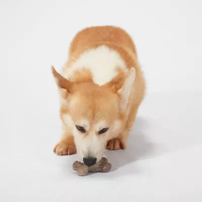 Product Joyhound® Boss Bones Twist Puppy Chew Toy