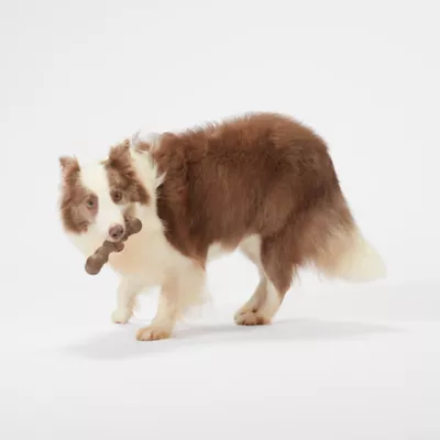 Product Joyhound® Boss Bones Chew Twist Dog Toy