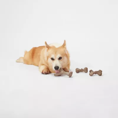 Product Joyhound® Boss Bones Puppy Chew Toys - 3 Pack