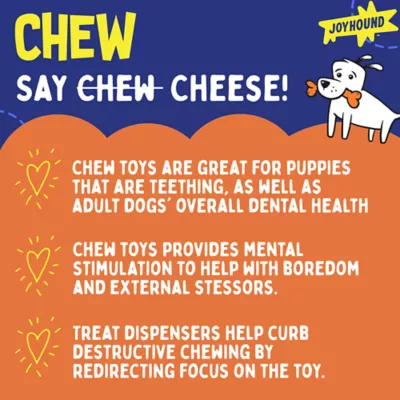 Product Joyhound® Boss Bones Puppy Chew Toys - 3 Pack