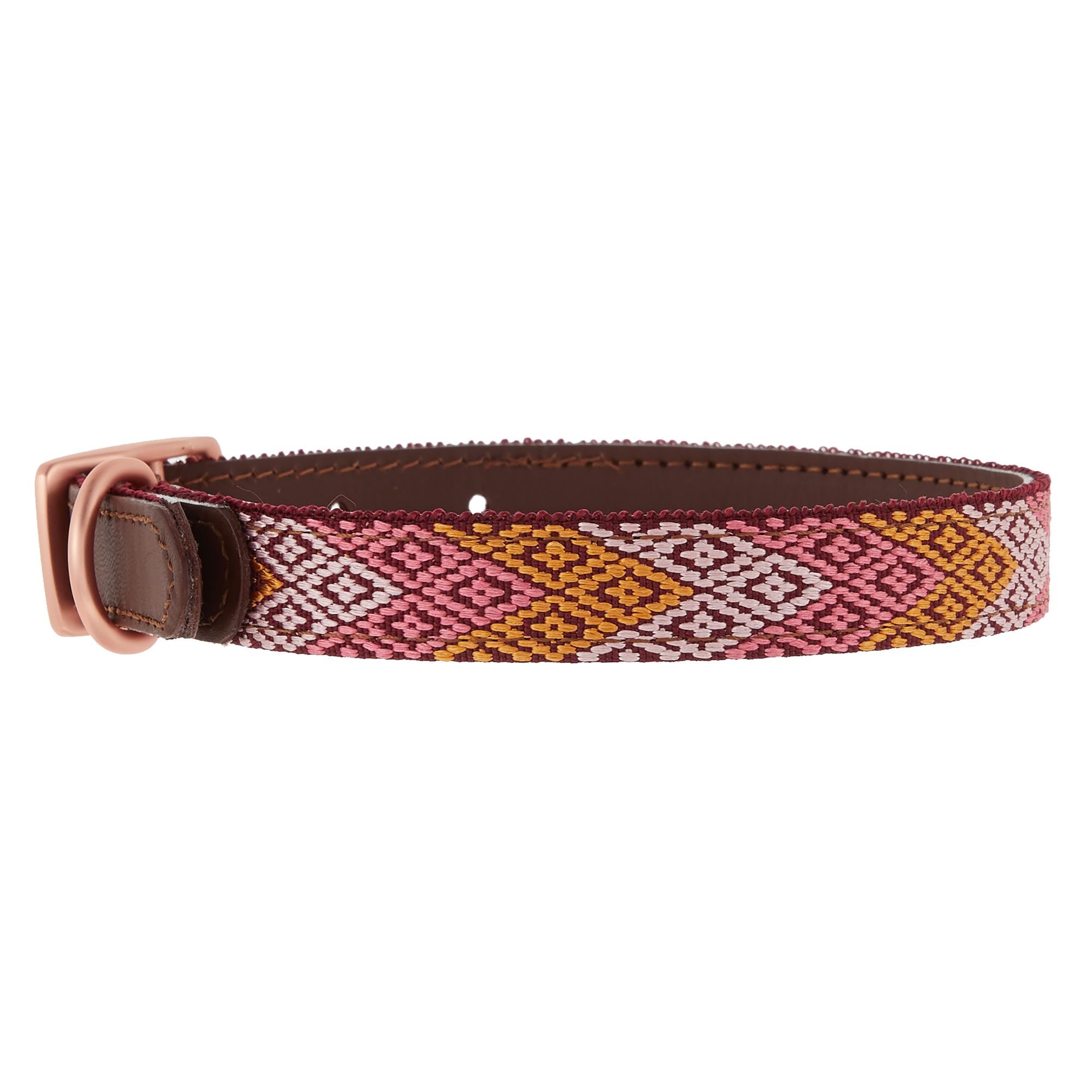 petsmart leather dog collar