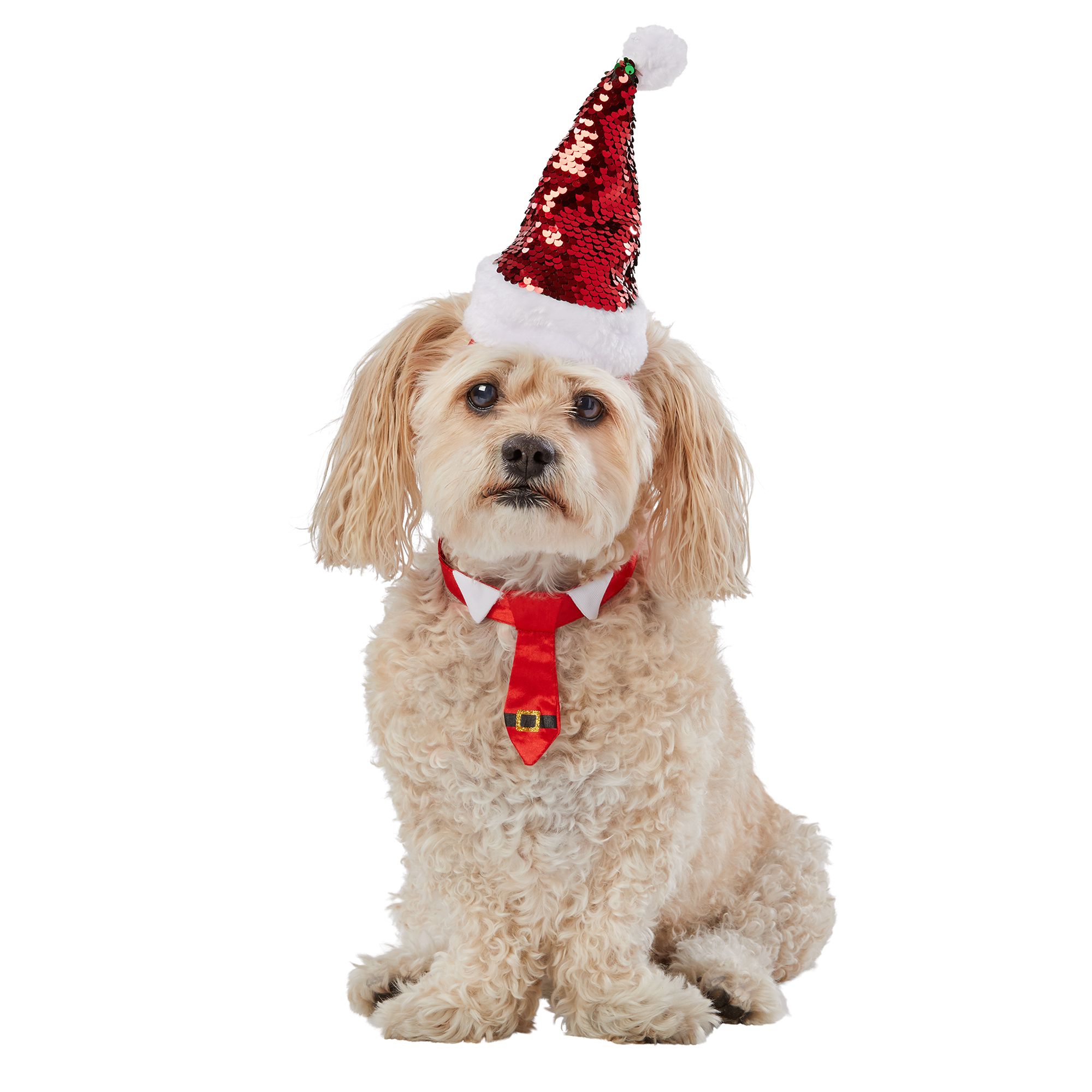 dog santa hat