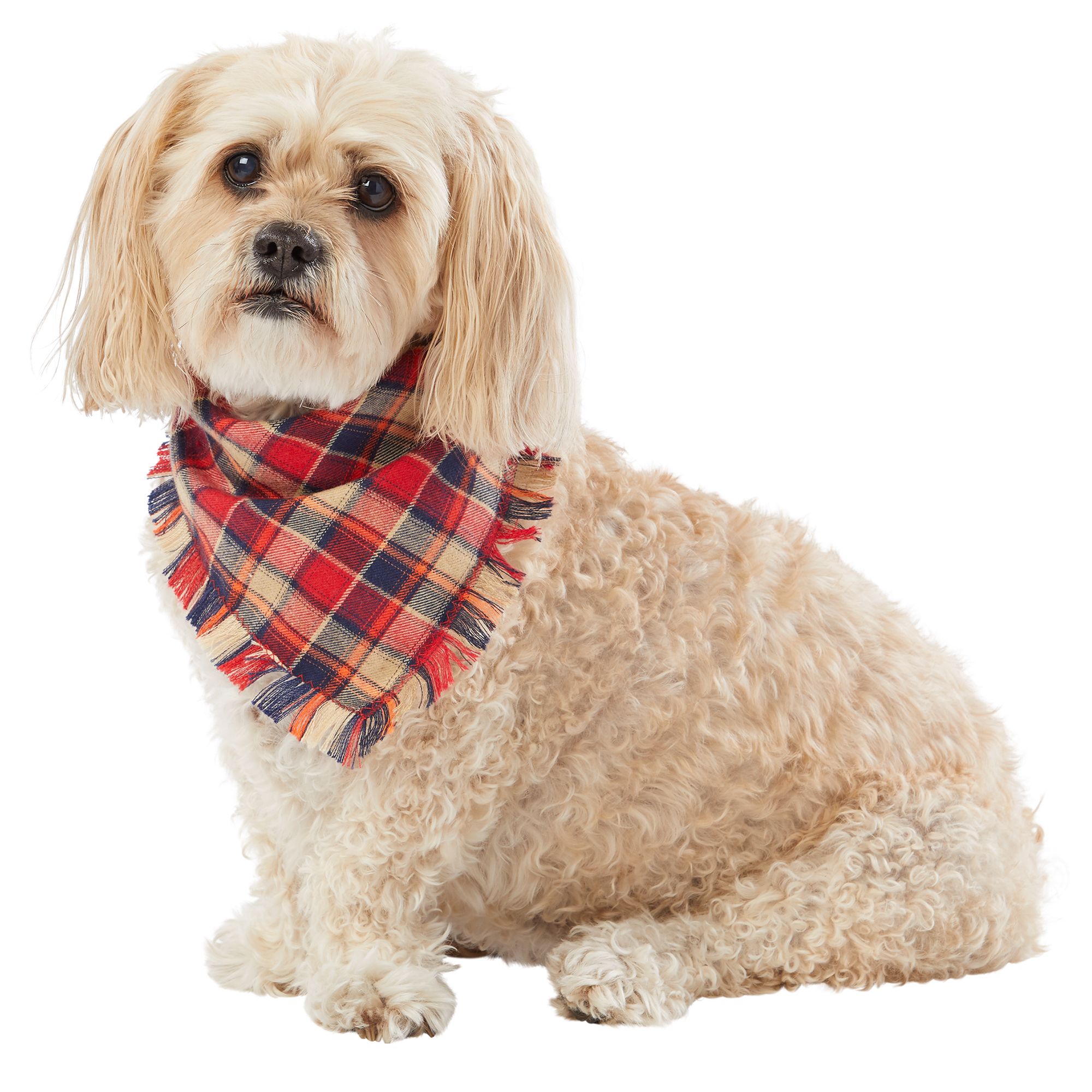 pet bandanas canada