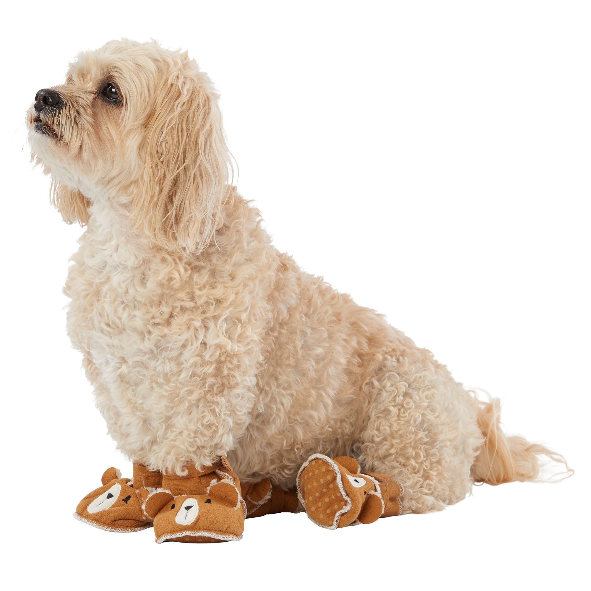 dog paw slippers