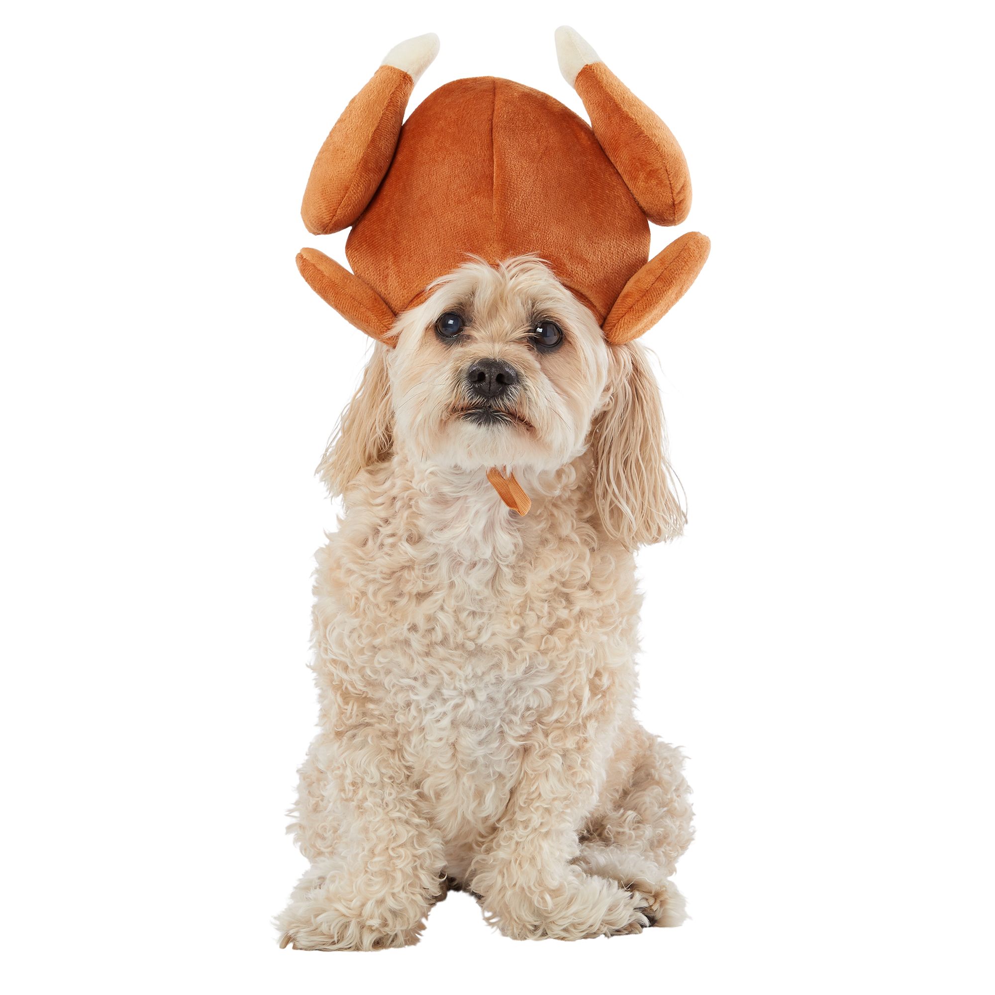 Top Paw® Holiday Turkey Pet Hat | dog 