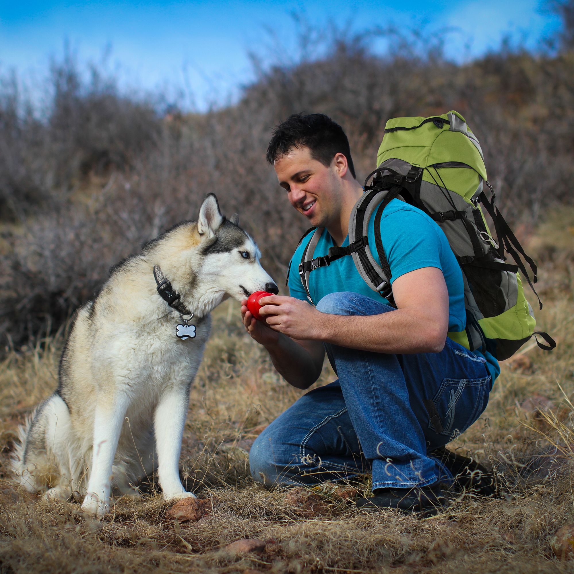 petsmart kong easy treat