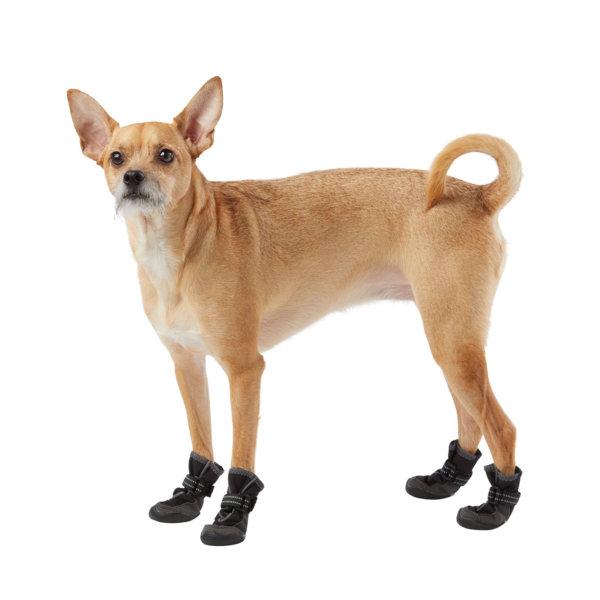 petsmart rubber dog boots