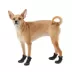 Top Paw® Outdoor Dog Booties image thumbnail 1