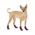 Top Paw® Outdoor Dog Booties image thumbnail 1