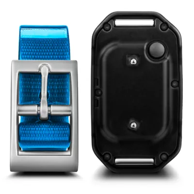 Product Garmin PT 10 PRO Dog E-Collar Device