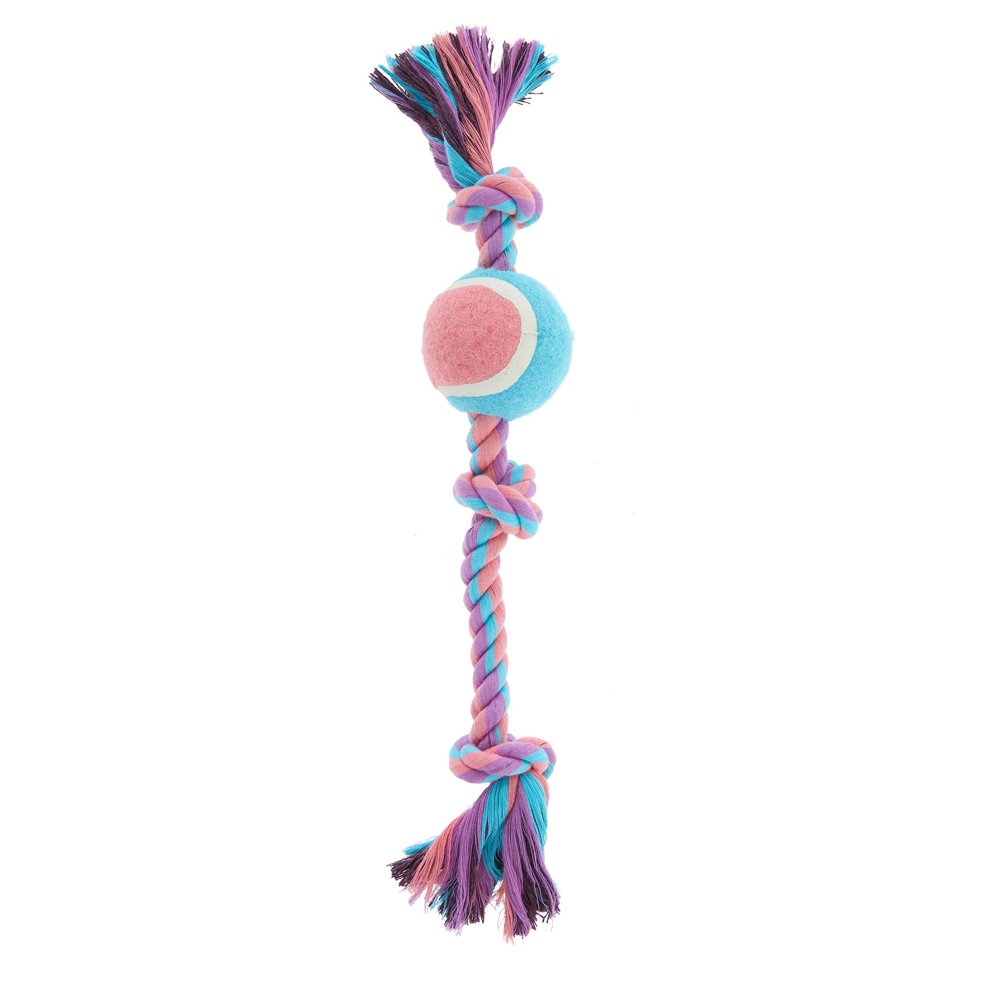 dog toy with rope