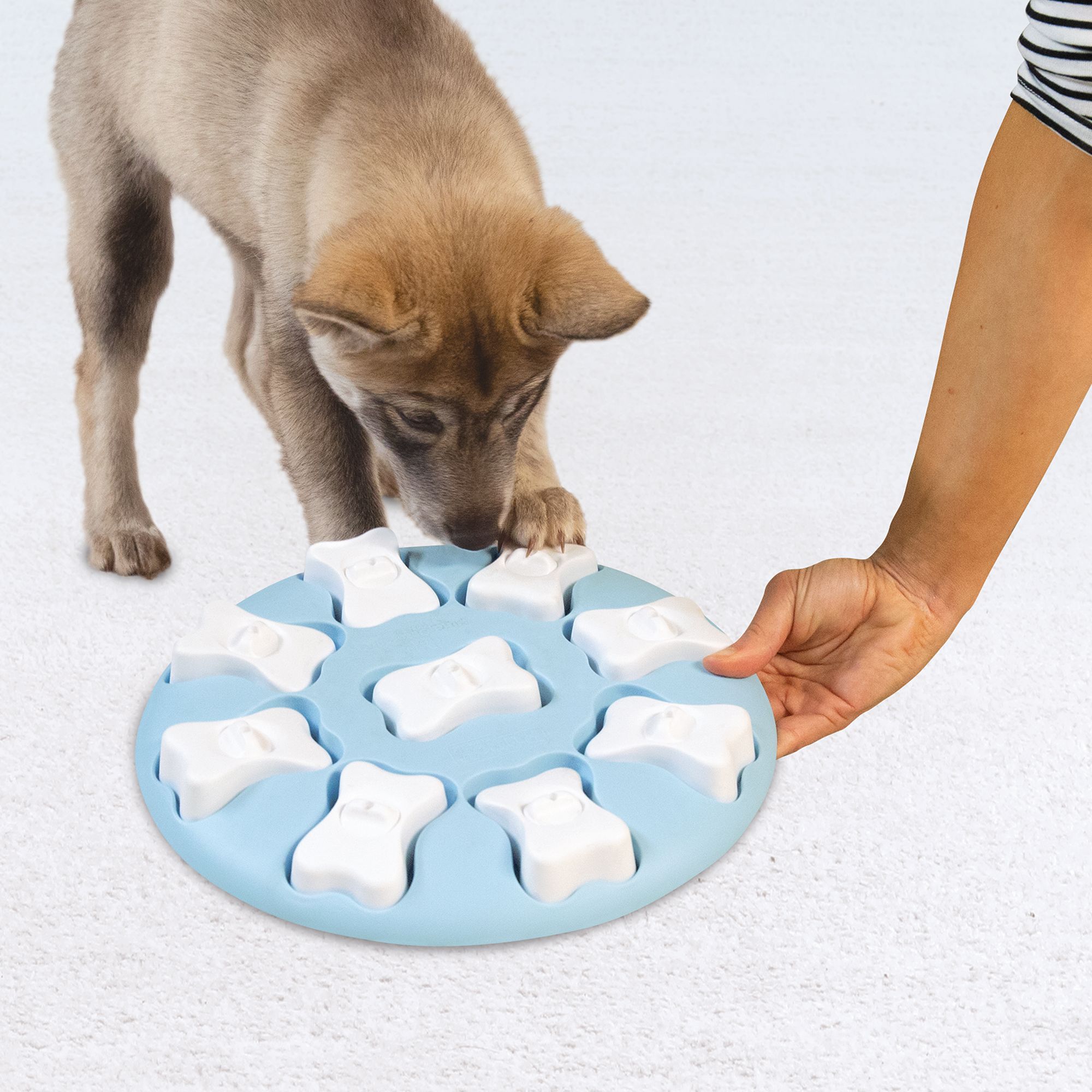 puppy treat puzzles