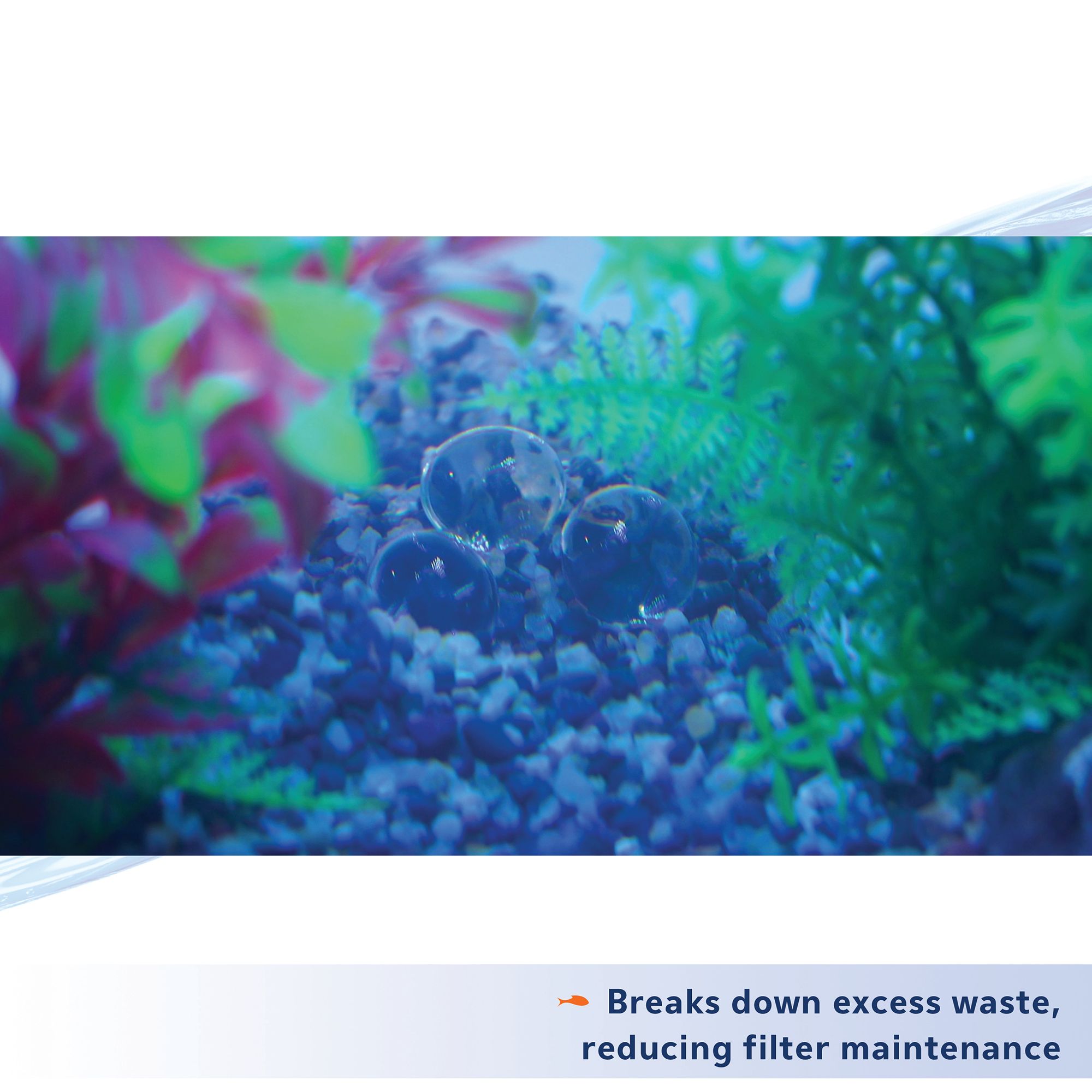 Aqueon® Pure Bacteria Supplement for Aquarium Cycling - thumbnail 5