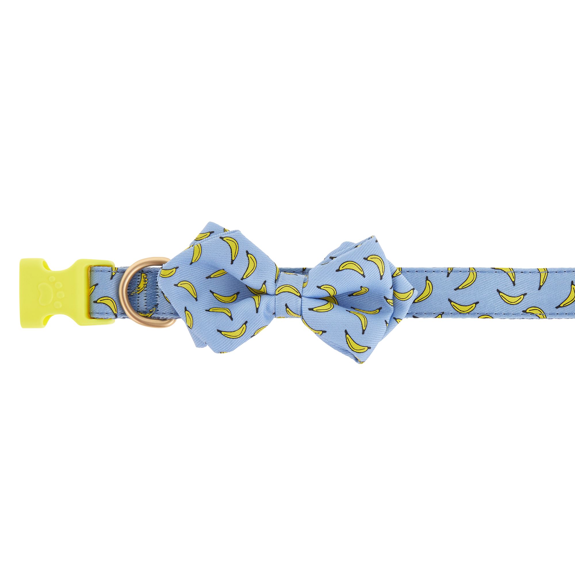 bow tie dog collar petsmart