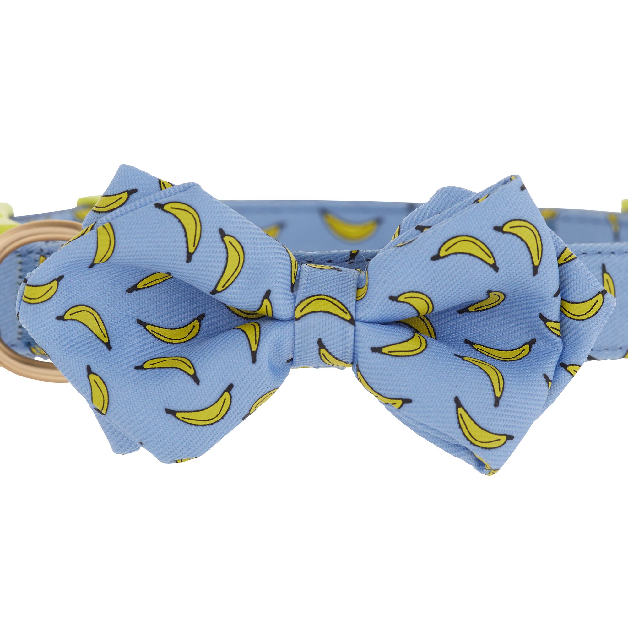 bow ties for dogs petco