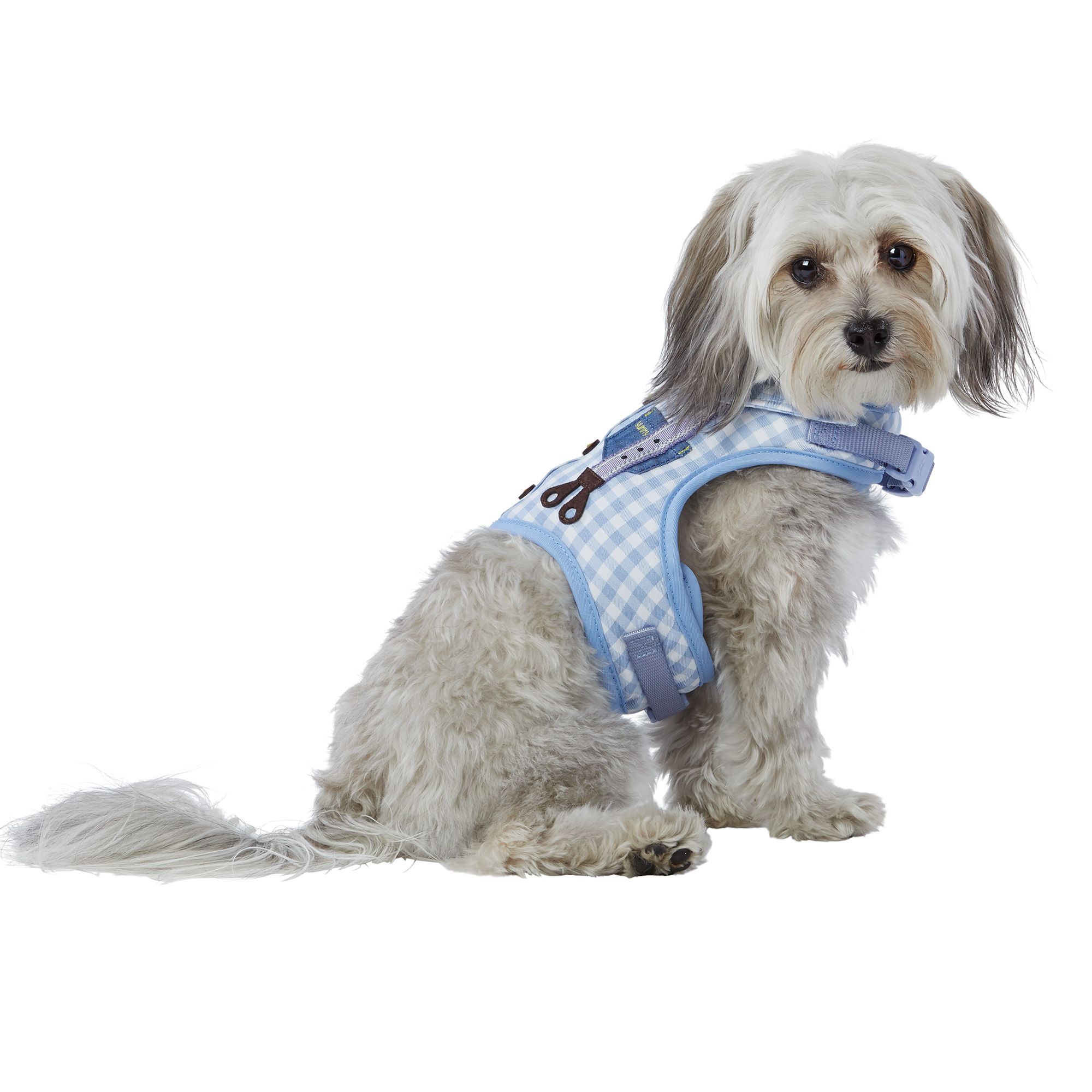 petsmart dog harness