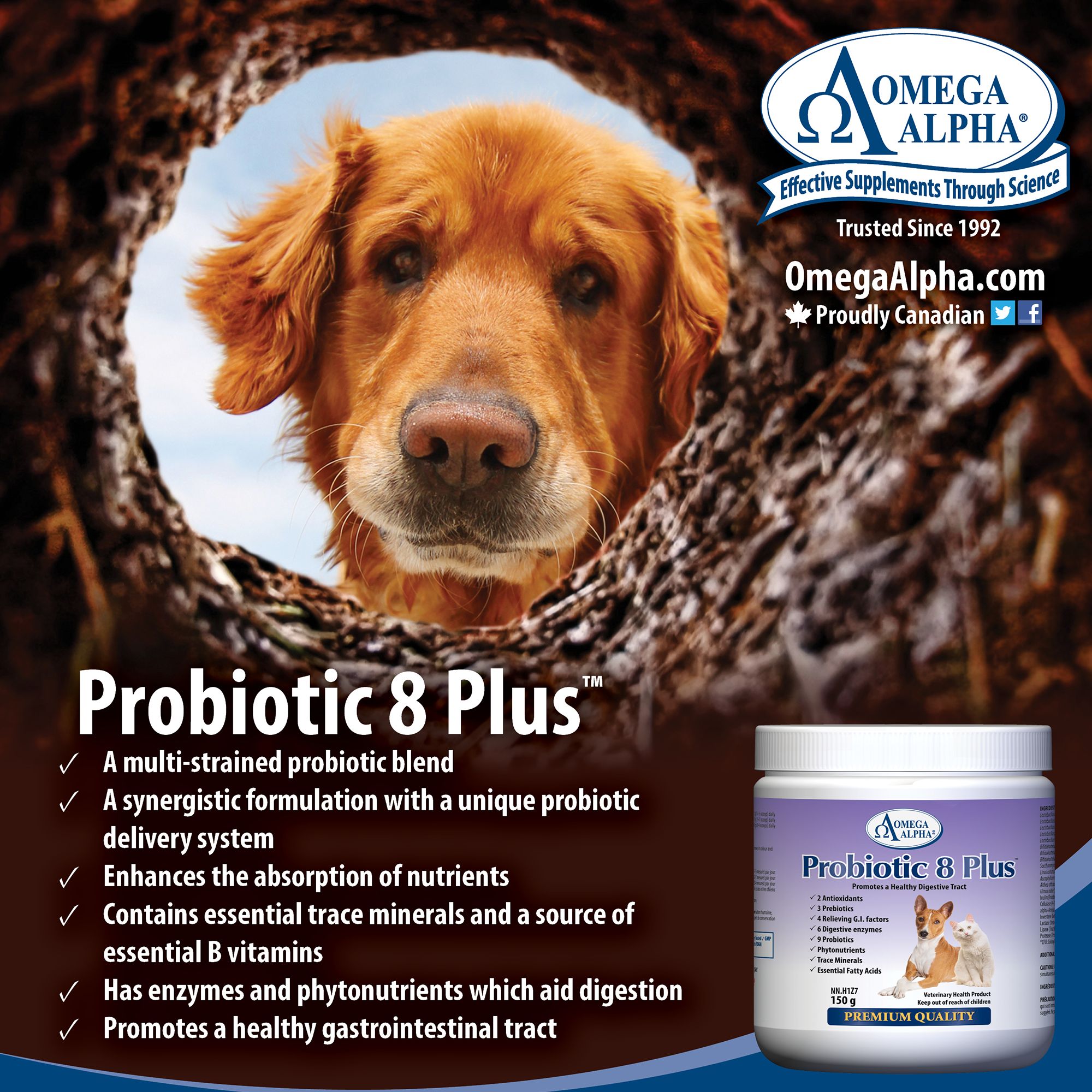 probiotic plus for dogs