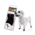 Pawz Rubber Dog Boots - Black image thumbnail 1