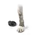 Pawz Rubber Dog Boots - Black image thumbnail 3