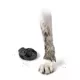 Product Pawz Rubber Dog Boots - Black