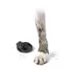 Product Pawz Rubber Dog Boots - Black