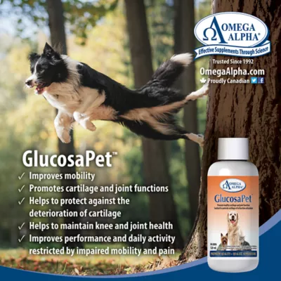 Product Omega Alpha GlucosaPet Liquid Hip & Joint Supplement for Dogs and Cats