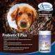 Product Omega Alpha Probiotic 8 Plus Powder Supplement for Dogs and Cats