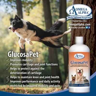 Product Omega Alpha GlucosaPet Liquid Hip & Joint Supplement for Dogs and Cats