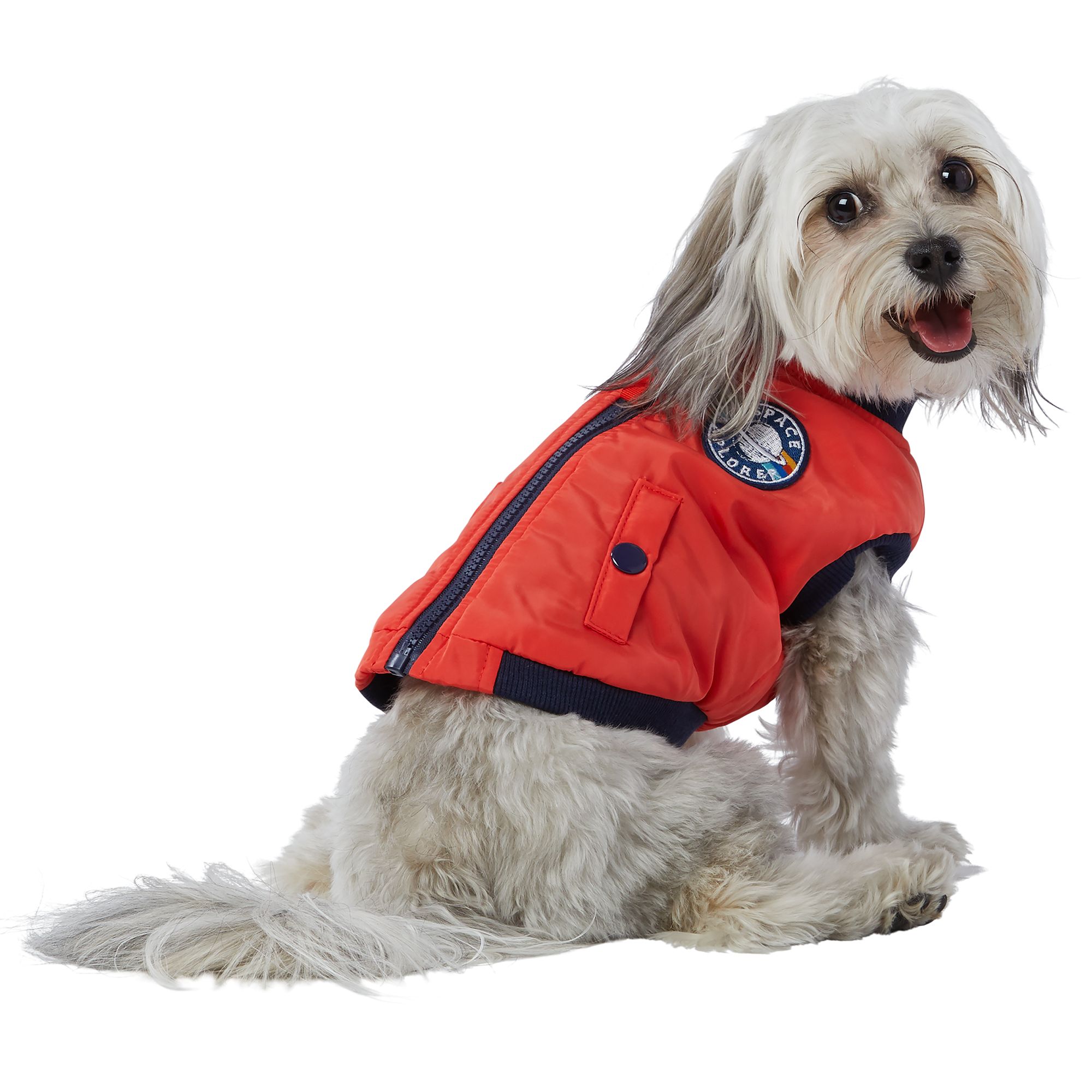 petsmart dog jackets