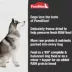 PureBites® RAW Freeze Dried Complete & Balanced Dog Food or Topper - Chicken image thumbnail 4
