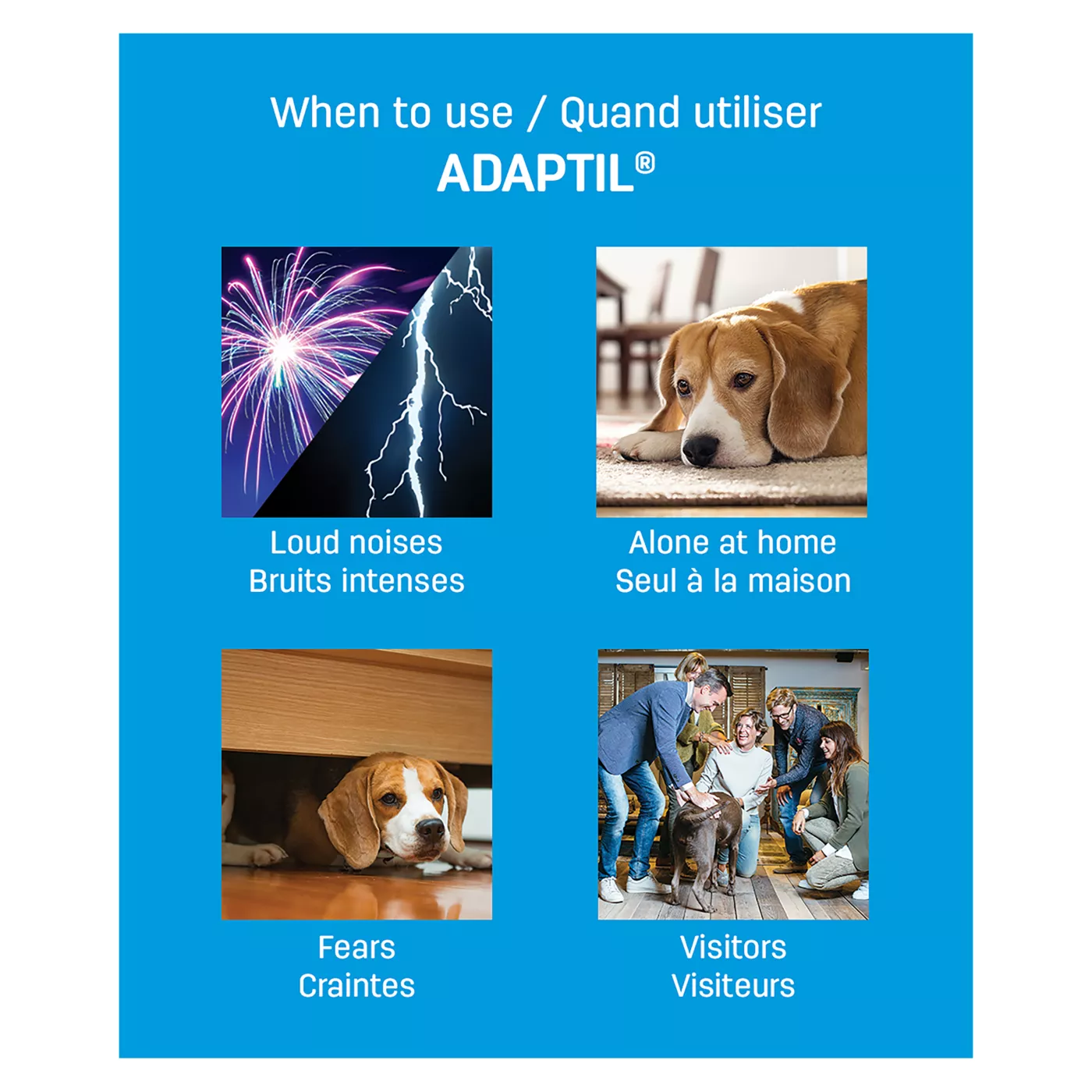 ADAPTIL Plug In Calming Diffusesr and Refill 30 Day Starter Kit for Dogs