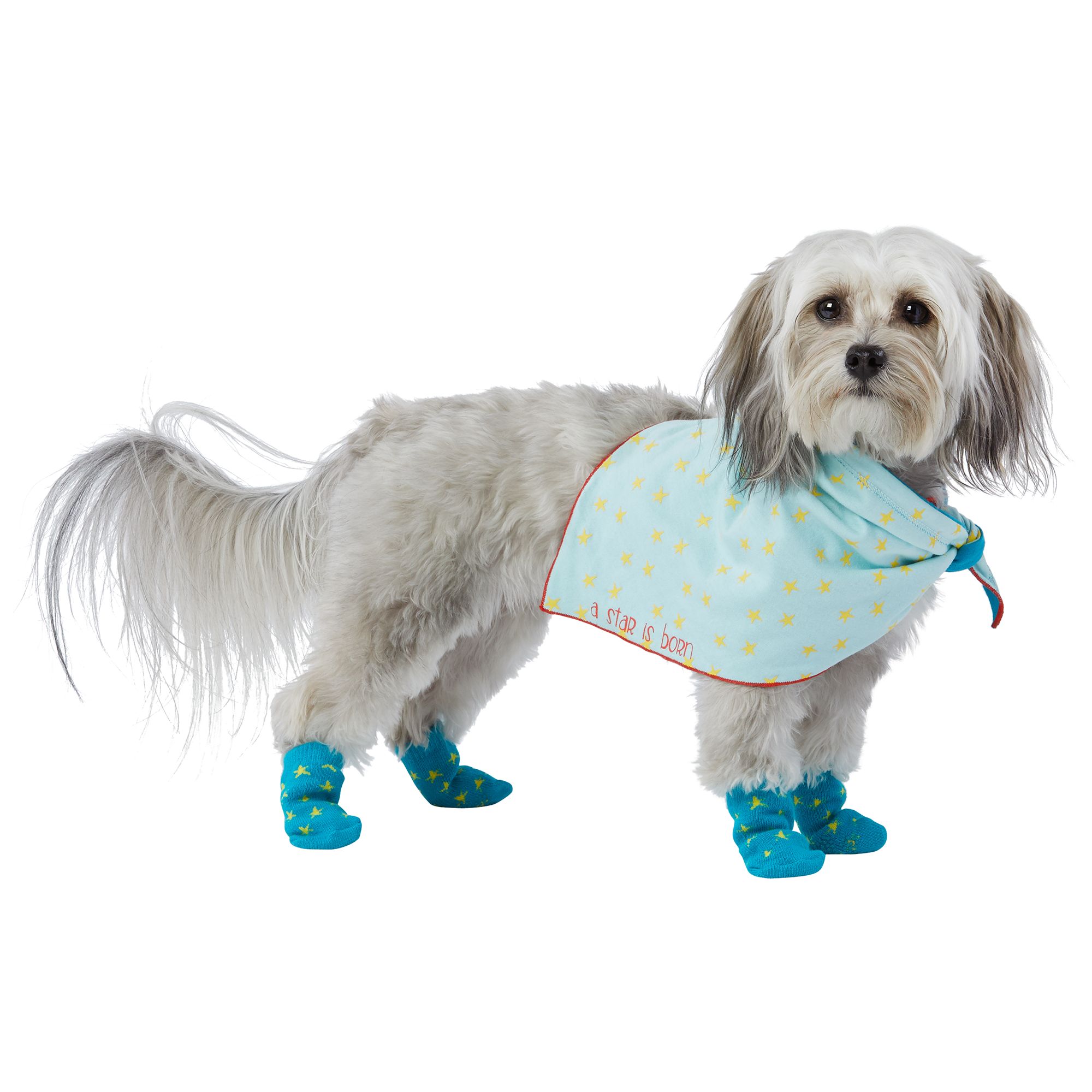 ultra paws wound boot petsmart