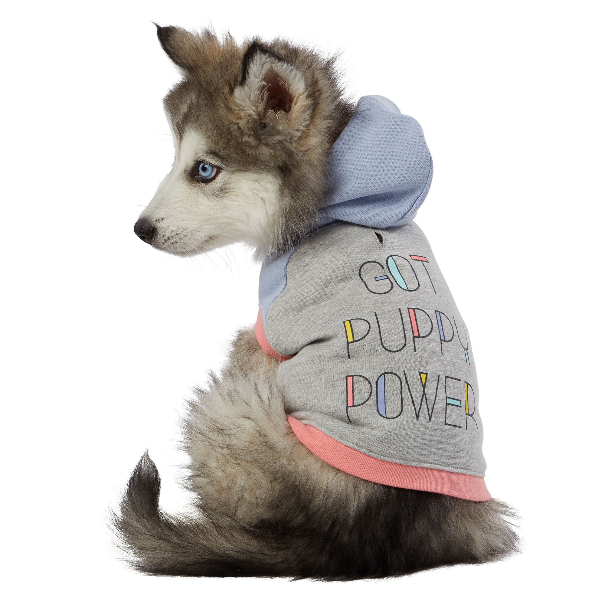 petsmart dog jackets