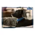 ADAPTIL 24-7 Calming Collar for Dogs - Small/Med Dogs and Puppies image thumbnail 5