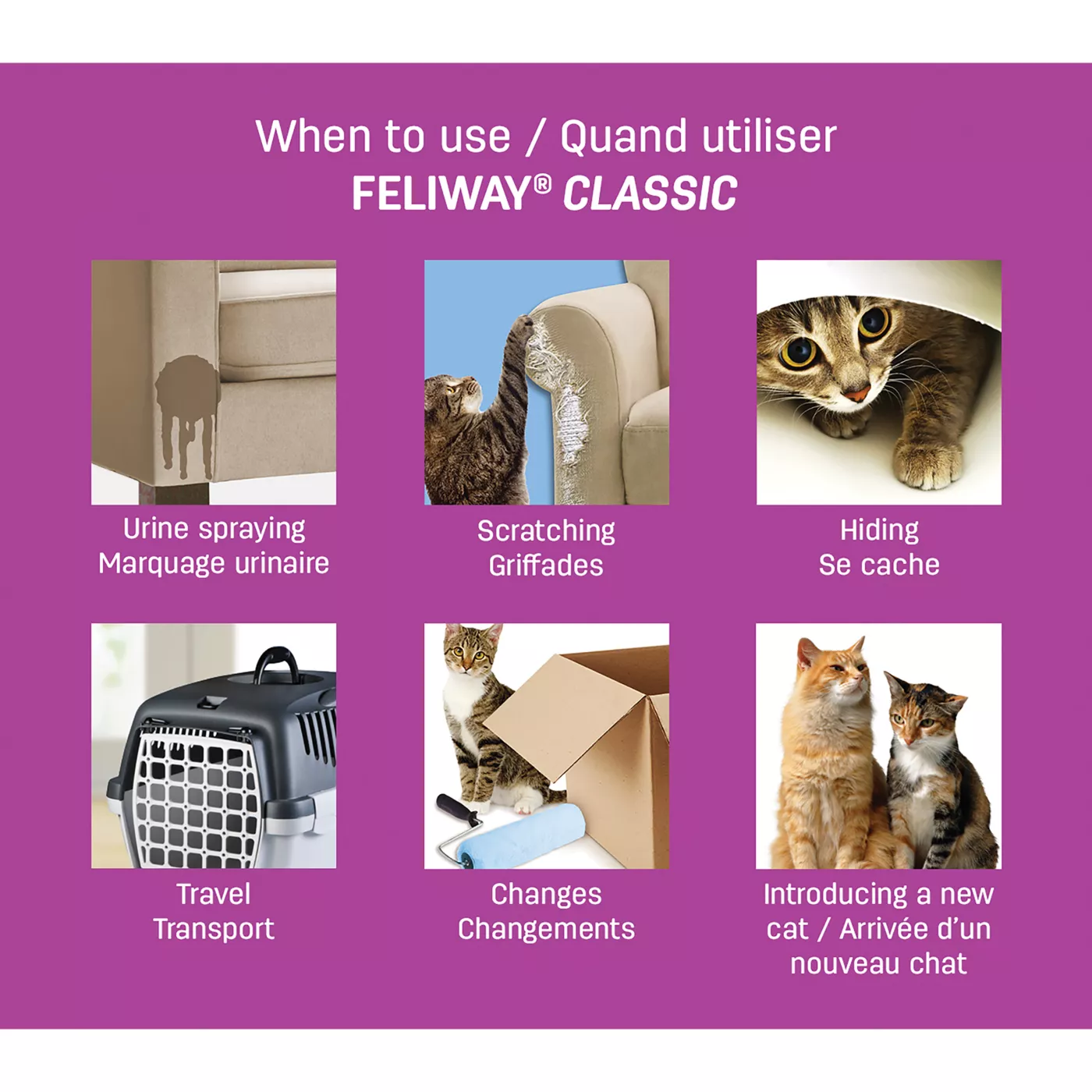 FELIWAY Classic Plug In Calming Diffuser and Refill 30 Day Starter Kit for Cats