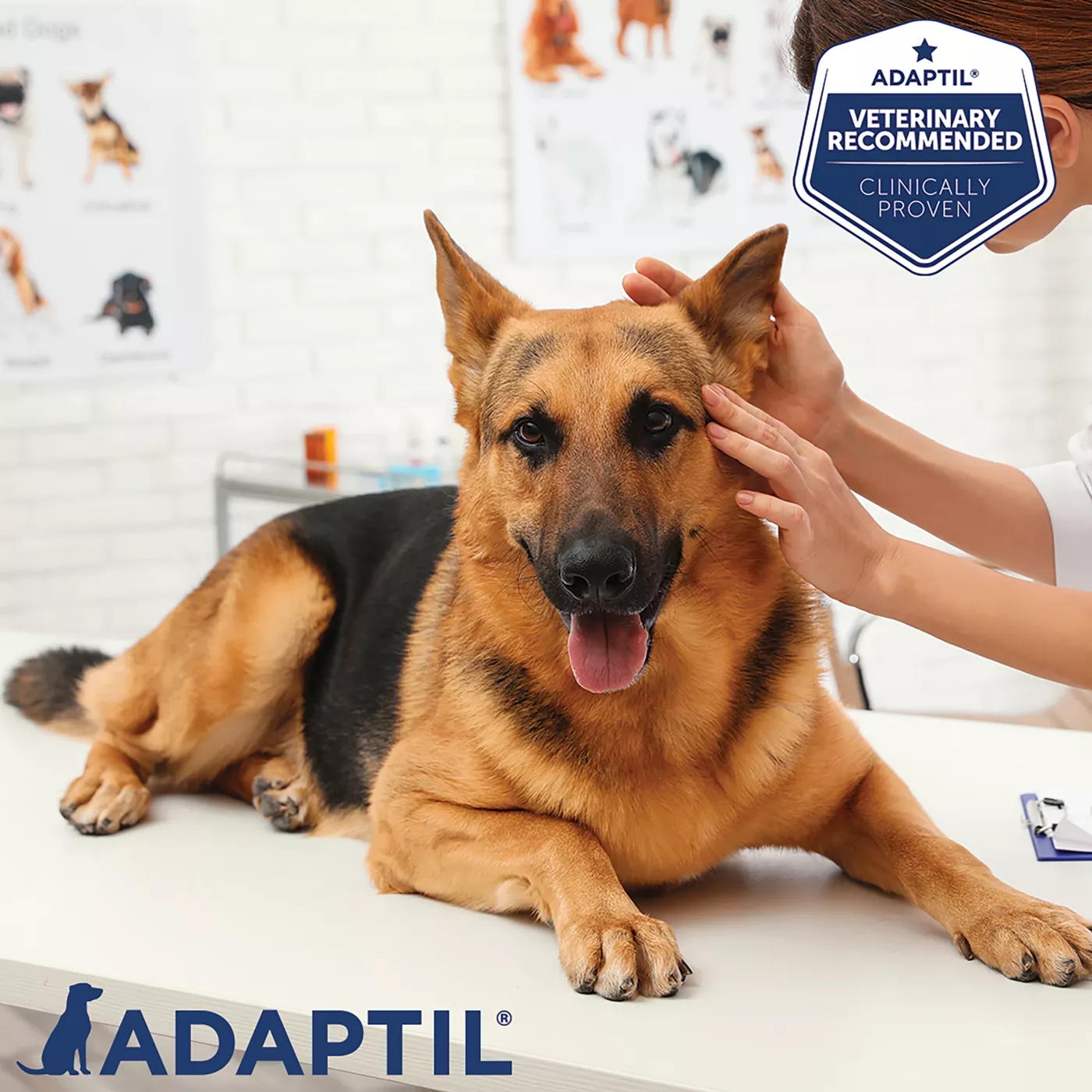 ADAPTIL Calming Spray for Dogs