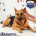 ADAPTIL Calming Spray for Dogs image thumbnail 6