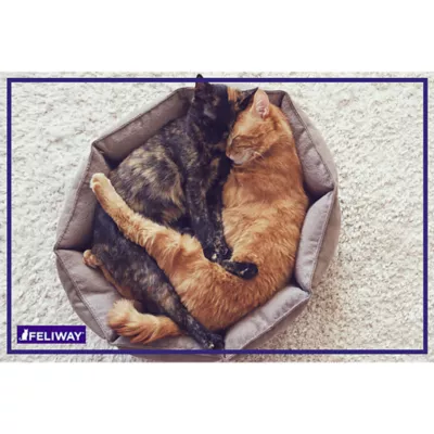 Product FELIWAY Friends Calming Diffuser Refill for Cats - 3 pack