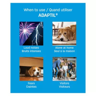 Product ADAPTIL Calming Diffuser Refill for Dogs - 3 pack