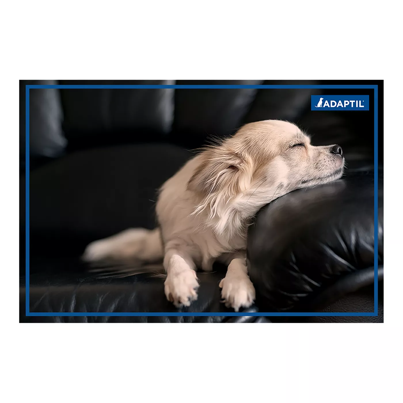 ADAPTIL Calming Diffuser Refill for Dogs 3 pack