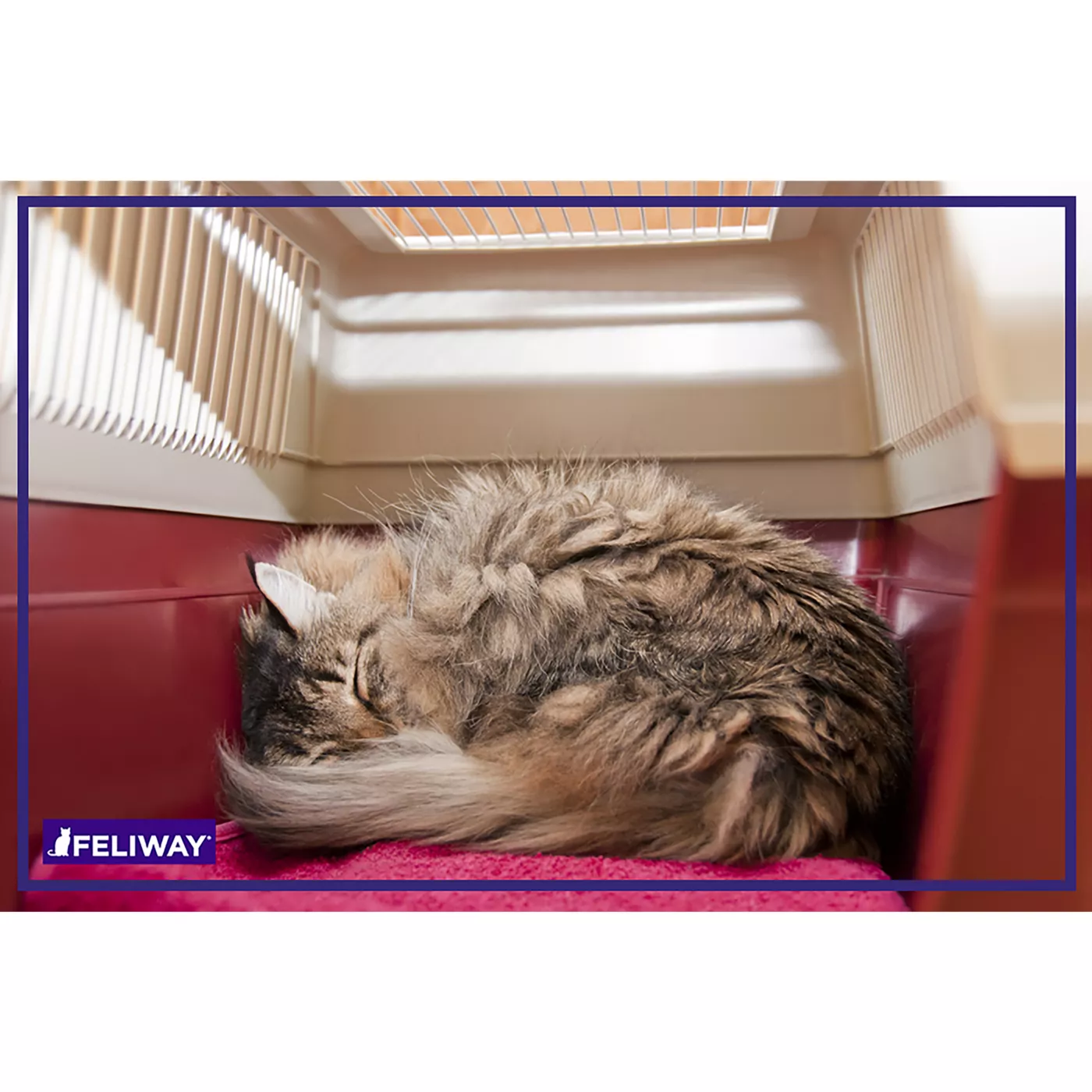 FELIWAY Classic Calming Spray for Cats