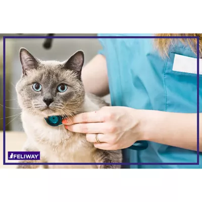 Product FELIWAY Classic Calming Spray for Cats