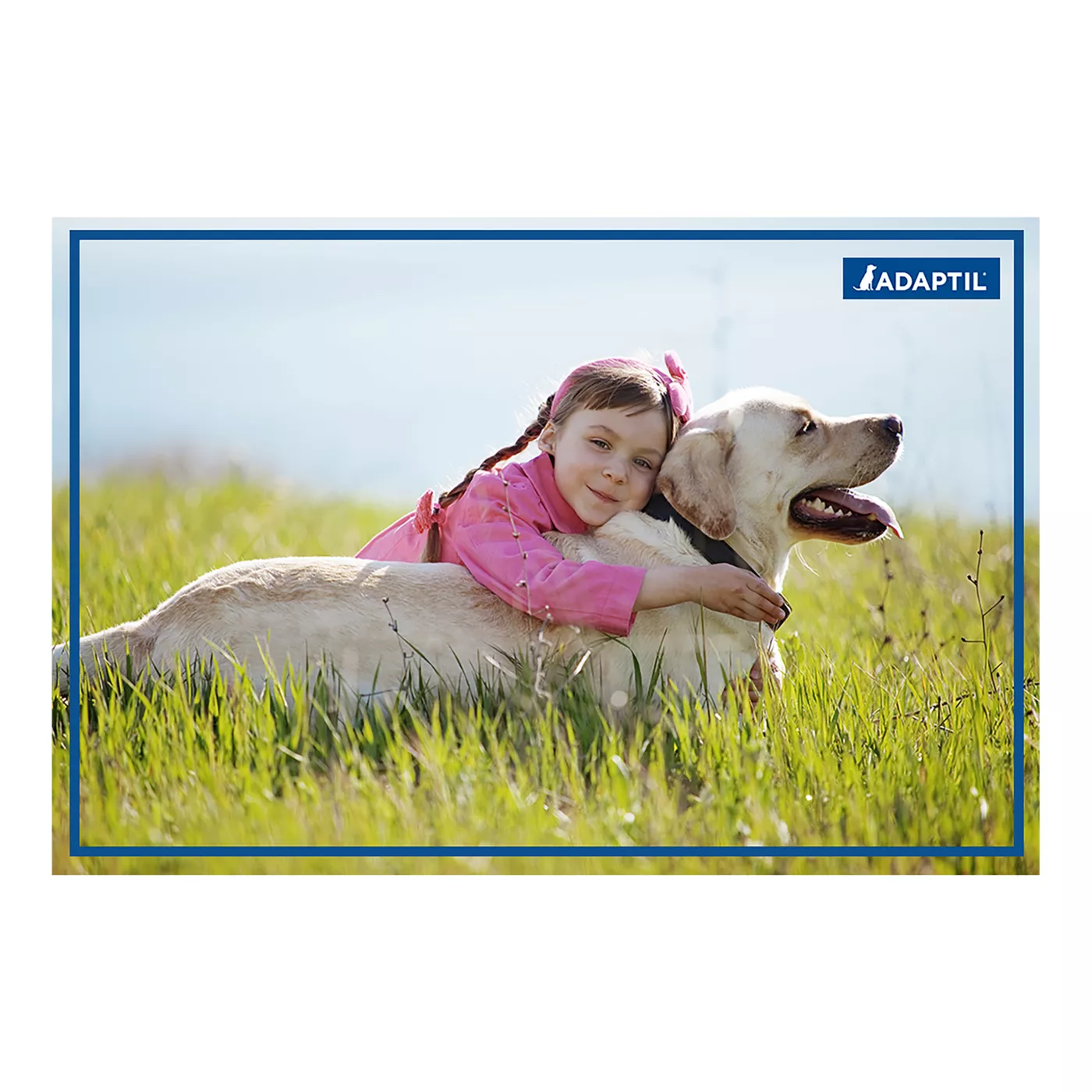 ADAPTIL 24 7 Calming Collar for Dogs Med Large Dogs