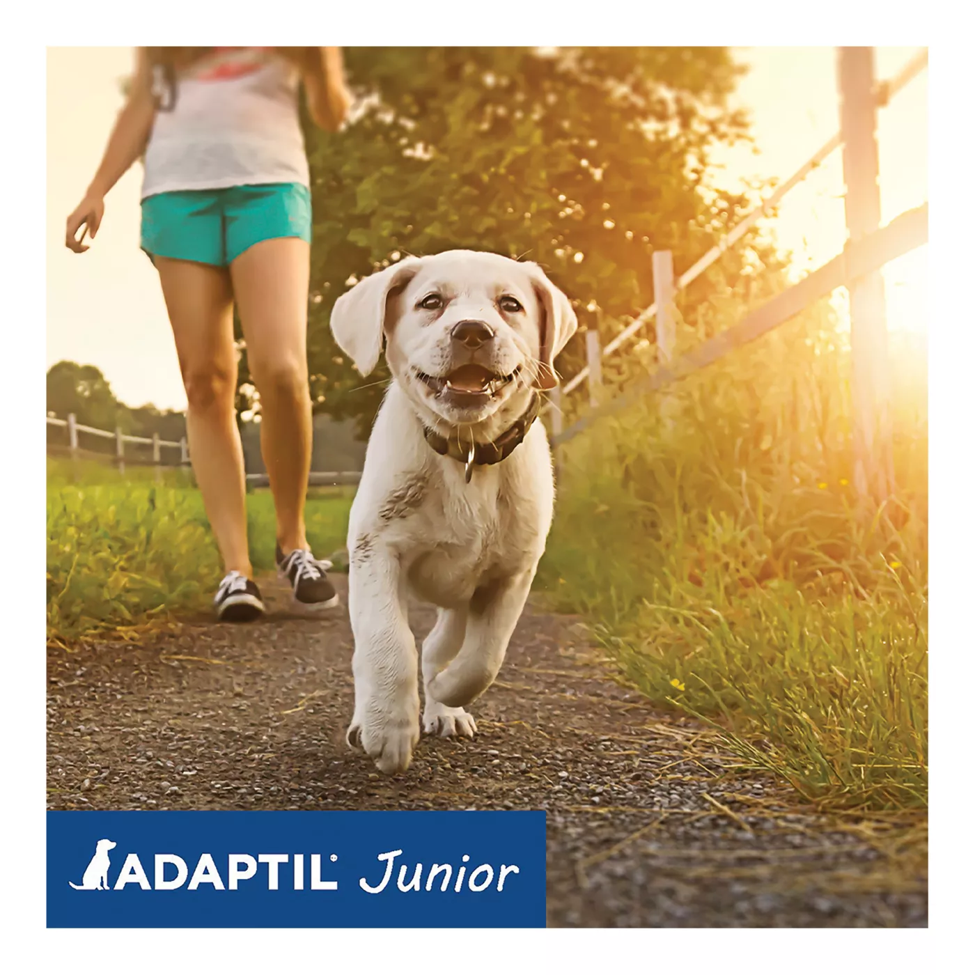 ADAPTIL Junior Calming Collar for Puppies